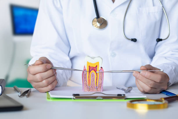 Best Root Canal Emergency Dentist  in Alba, NY